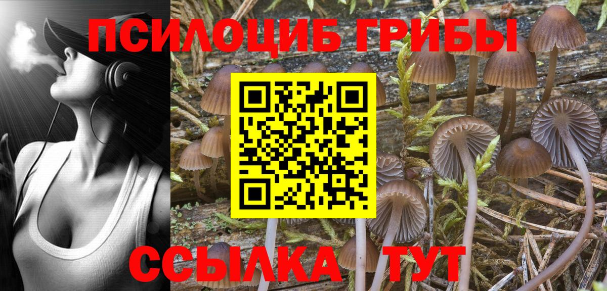 купить наркоту  Вход с VPN  Галлюциногенные грибы Magic Shrooms  Можайск  Псилоцибиновые грибы MAGIC MUSHROOMS 